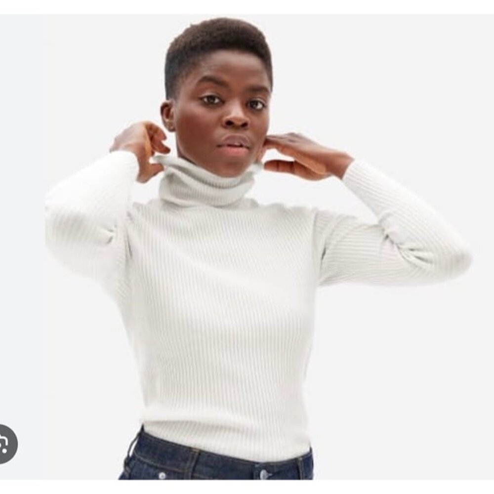 Everlane  The Italian Merino Rib Turtleneck White